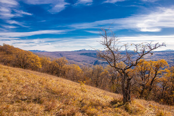 Fototapeta premium Mountain day autumn, Caucasus