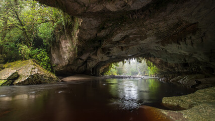 Moria Gate Arch in New Zealand. The ceiling is covered with stalactites and roots. The River cave is spacious and its floor covered in sand accumulated by the Oparara River. Kahurangi National Park.