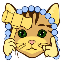 emoticon cat with jury wearing a wig and pointing his finger up while holding a gavel hammer, funny cartoon character with simplistic facial expression, simple hand drawn icon from a set