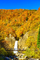 Obraz premium 【新潟県 妙高】紅葉に囲まれた苗名滝
