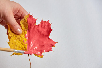 The woman's hands paint a maple leaf coral.