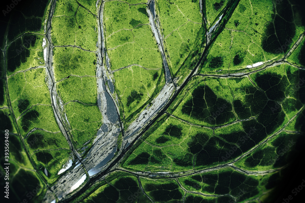 Aufkleber close up beautiful abstract leaf. beautiful plant minimal in neon light. minimalism retro style conc