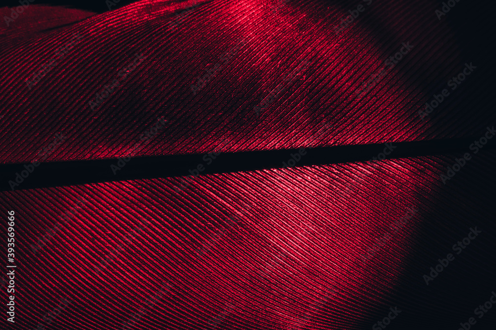Aufkleber close up bird feather red colored light. beautiful background pattern texture for design. macro phot