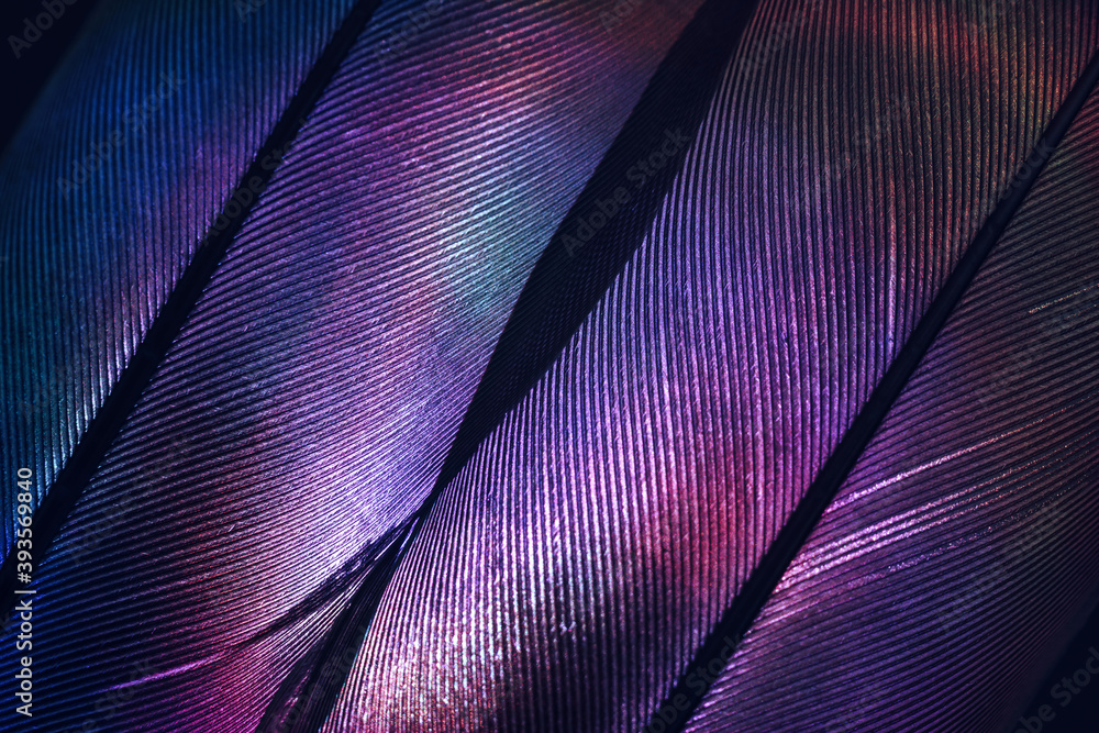 Aufkleber bird feather purple colored light. beautiful background pattern texture for design. macro photograph