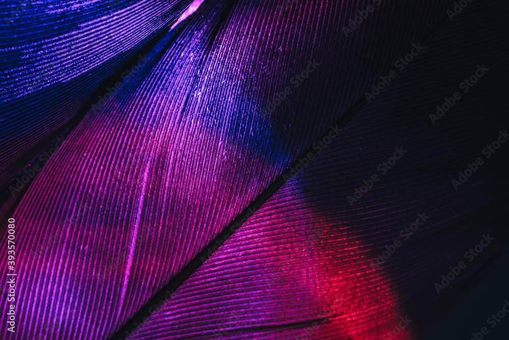 Aufkleber Close up Beautiful colorful Bird feather background pattern texture for design. Macro photography view..