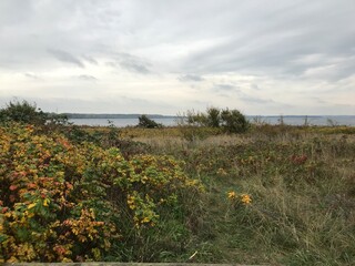 Heide am Meer