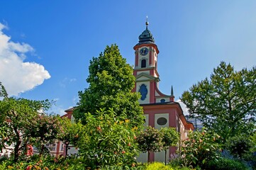   Bodensee Mainau  Blumen Insel