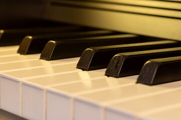 Fototapeta na wymiar Close-up of electronic piano keys.