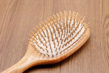 ヘアブラシについた抜け毛