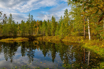 Autumn forest reflected in calm water of forest lake