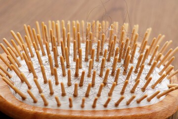 ヘアブラシについた抜け毛
