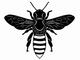 illustration of bee , vector draw