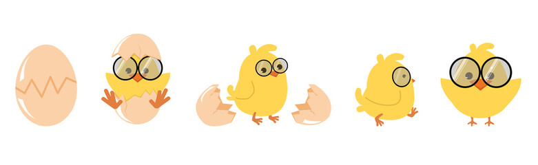 Cute chick hatching egg Cartoon vector set