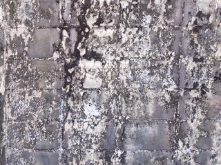 An old wall with the remains of dry moss on the wall.