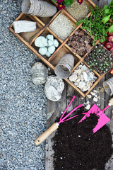 Garden tools, flowers, fertilizers, seeds, garden tools on a wooden background. Spring garden working concept. Copy space. Top view, flat lay.