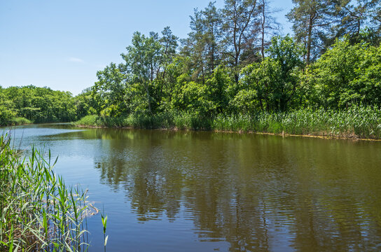 River Flows Through Wooded Area Of Eastern Europe