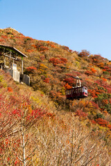 長崎県雲仙市　雲仙仁田峠の紅葉とロープウェイ