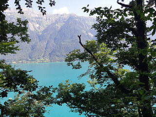 Blick vom Ufer des Brienzersees aufs Hochgebirge bei Interlaken 6, Schweiz