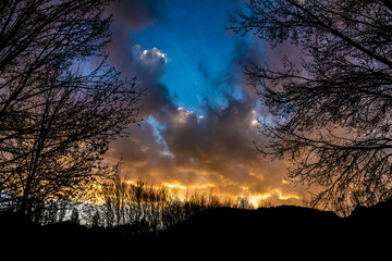 Fototapeta premium Shocking sunset among dry trees. Leafless branches in the fall.