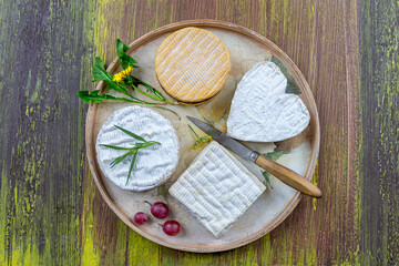 Selection of different types of cheese. Tasty and fresh cheese top view on tray
