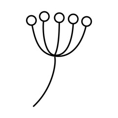 dry berries branch icon, line style