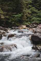waterfall in the forest