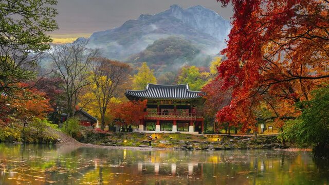 Time Lapse 4k Baekyangsa Temple in autumn, Naejangsan Park in korea.