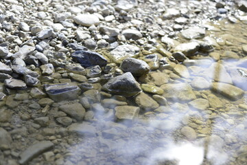 forest lake river beach with rocks pebbles and tree shadow