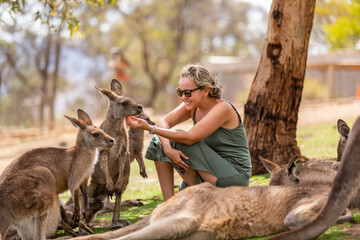 Photo of a woman interacting with Kangaroos in Tasmania 