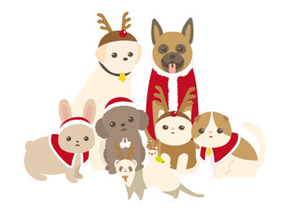 クリスマスコスチュームを着た犬と猫と小動物　背景白