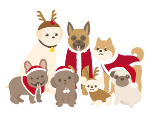 クリスマスコスチュームを着た犬達　背景白