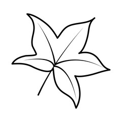 maple leaf icon, line style