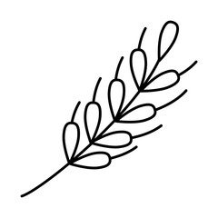 wheat leaves icon, line style