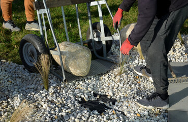 moving granite river boulders from the body of a truck. open sidewalls, stones are rolled on the lawn, transported using a hand-held wheelbarrow to a flowerbed with boulders and grasses, worker, © Michal