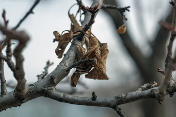 bird on branch