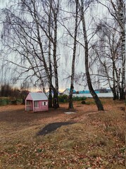 childrens pink house among birches in the countryside in an autumn landscape