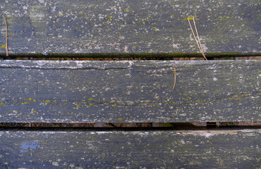 Old wooden background with fir tree needles close-up. Top view. Textured backdrop