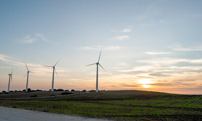 puesta de sol con molino de viento en Vejer de la frontera
