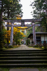 紅葉と鳥居