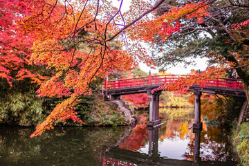 紅葉と赤い橋