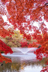 紅葉に囲まれる噴水