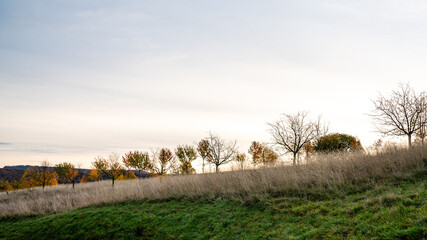 sunrise over the field in autumn morning
