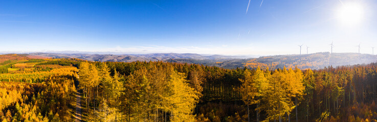 an autumn forest landscape in the lahn dill bergland in germany