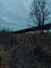 a muddy path leading to the bridge against the backdrop of a gloomy cloudy sky in an autumn cityscape