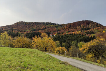 colorful autumn in the mountains with view of road
