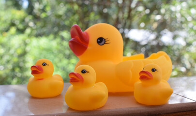 Rubber ducky with her ducklings