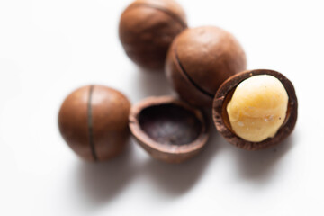 macadamia nut close up
