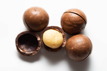 macadamia nut close up