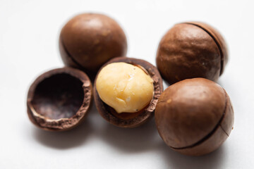 macadamia nut close up