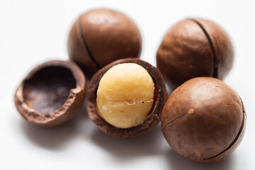 macadamia nut close up